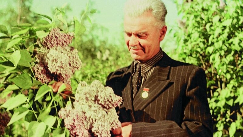 Леонид Алексеевич Колесников, из открытых источников