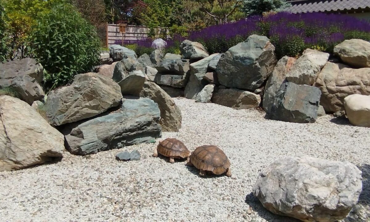    Фото t.me/parkkrd