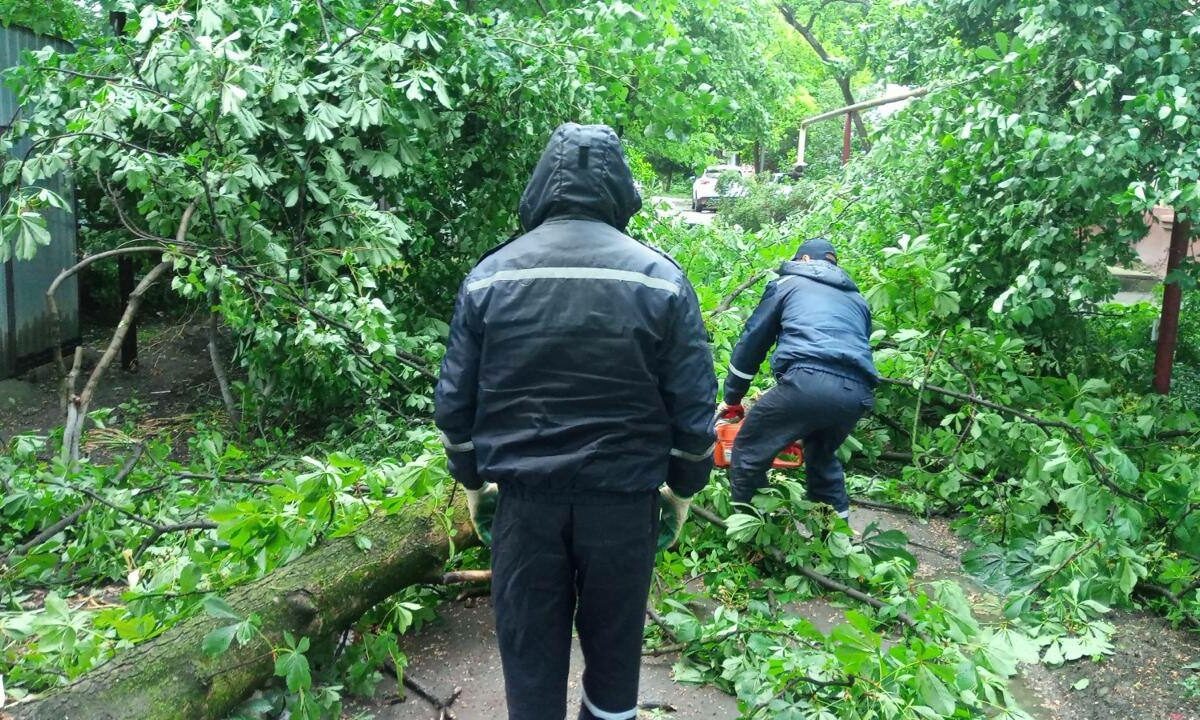    Фото t.me/emnaumov