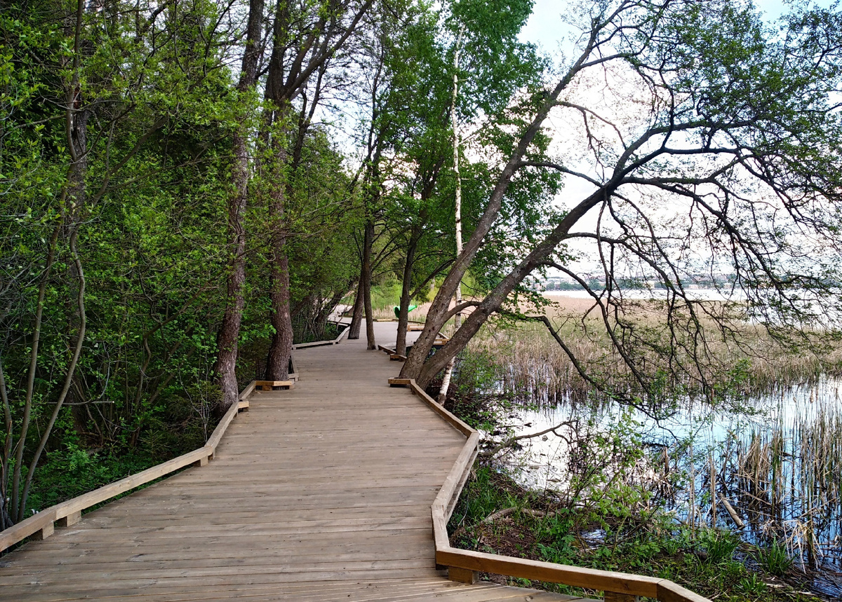 Фотографии мои