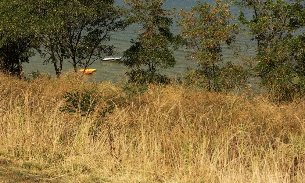 @AnnaFinist/Shutterstock