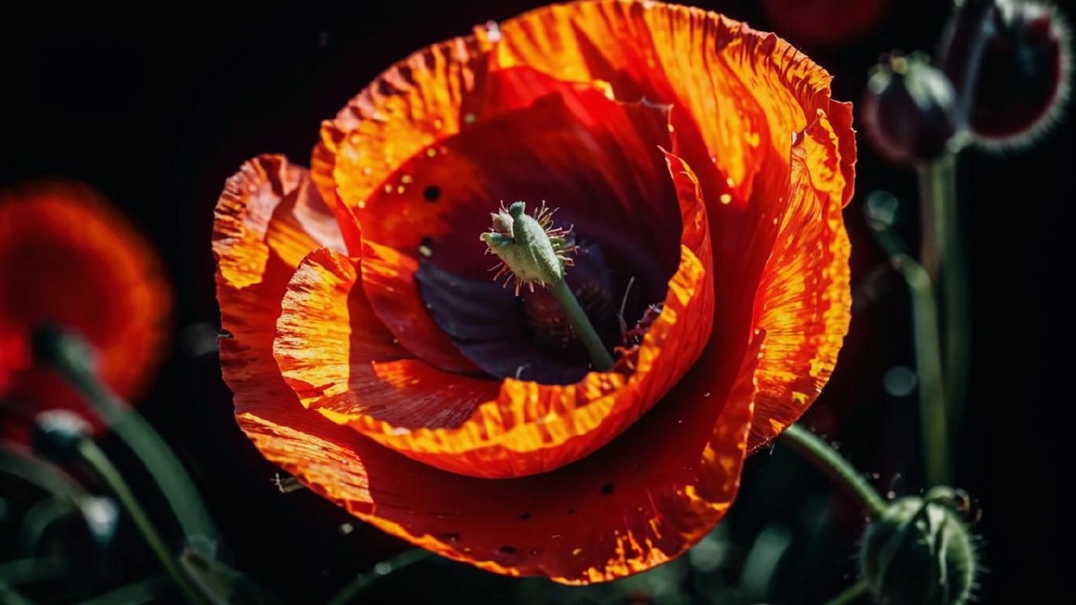 Прекрасный день для того, чтобы светить, цвести и замечать красоту в мелочах, открывая новое