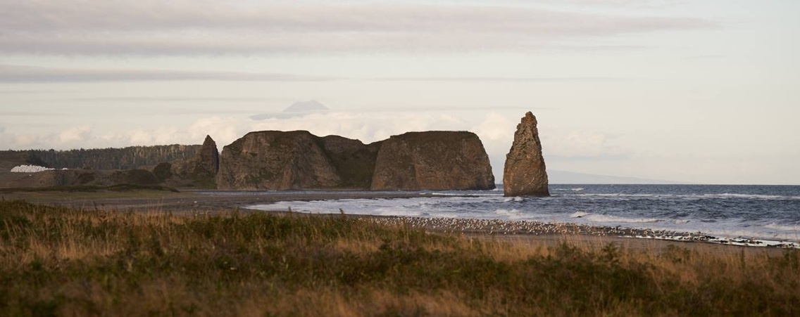 @Анна Вяткина