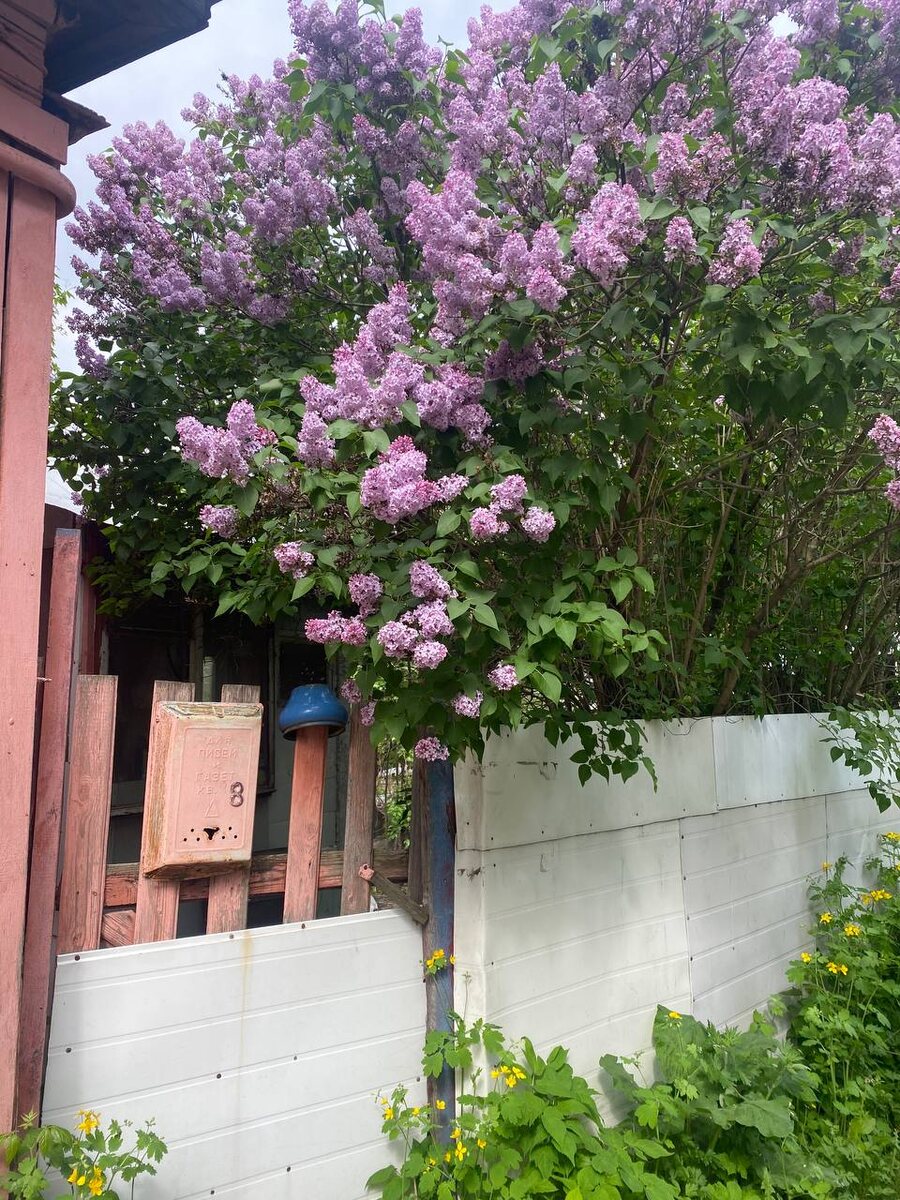 Гребешок - комплексное градостроительное образование на исторической территории «Старый Нижний Новгород». Это небольшое плато Дятловых гор, ограниченное со всех сторон осыпями обрывов, на крутом берегу Оки. 