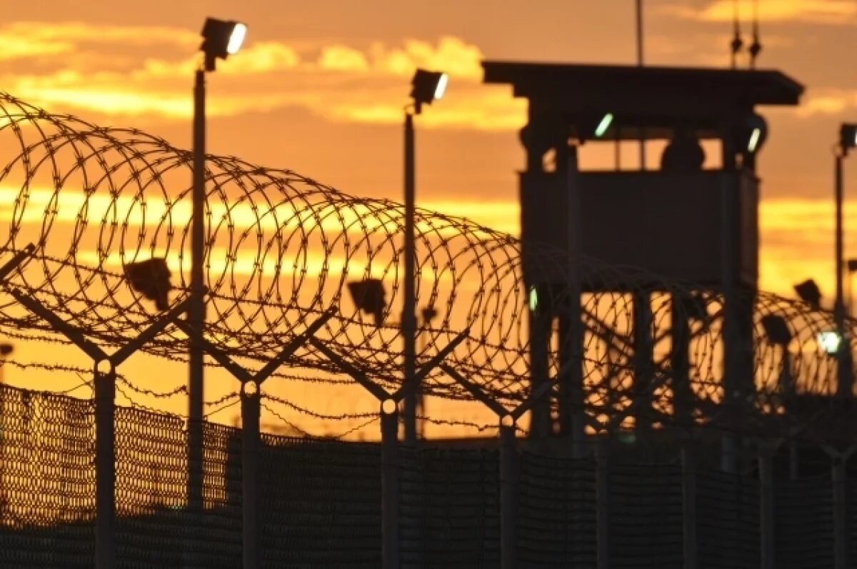    Владимир Путин и Дональд Трамп обсудили обмен заключёнными в формате девять на девять.