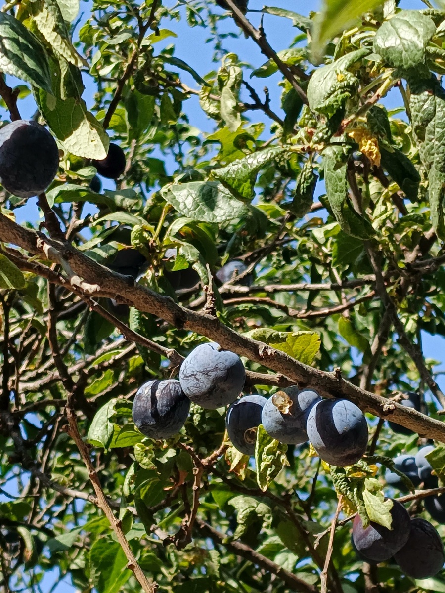 По дороге на пляж