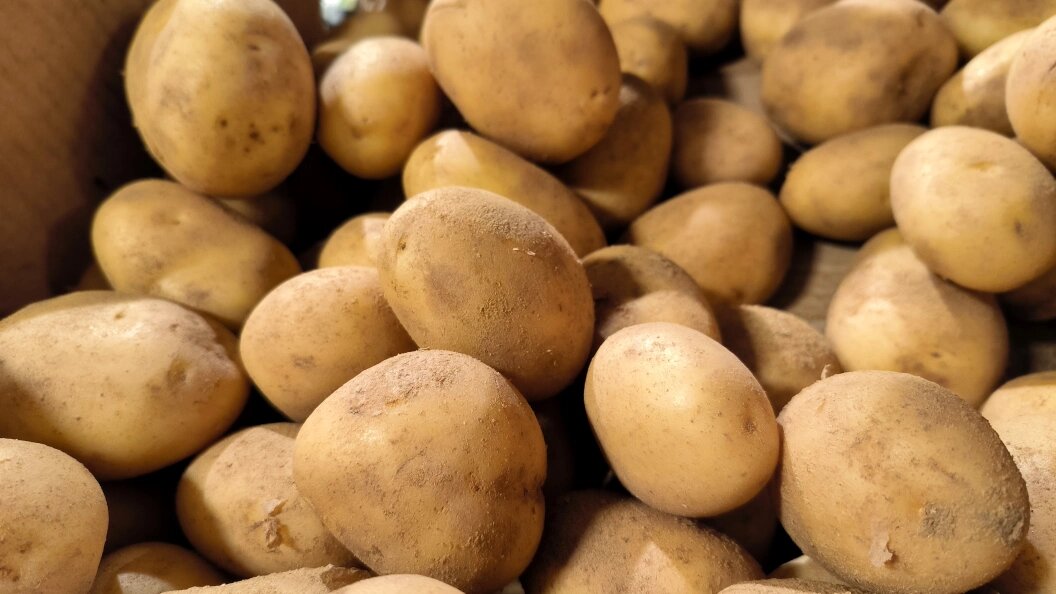    фото: Maksim Konstantinov/Global Look Press