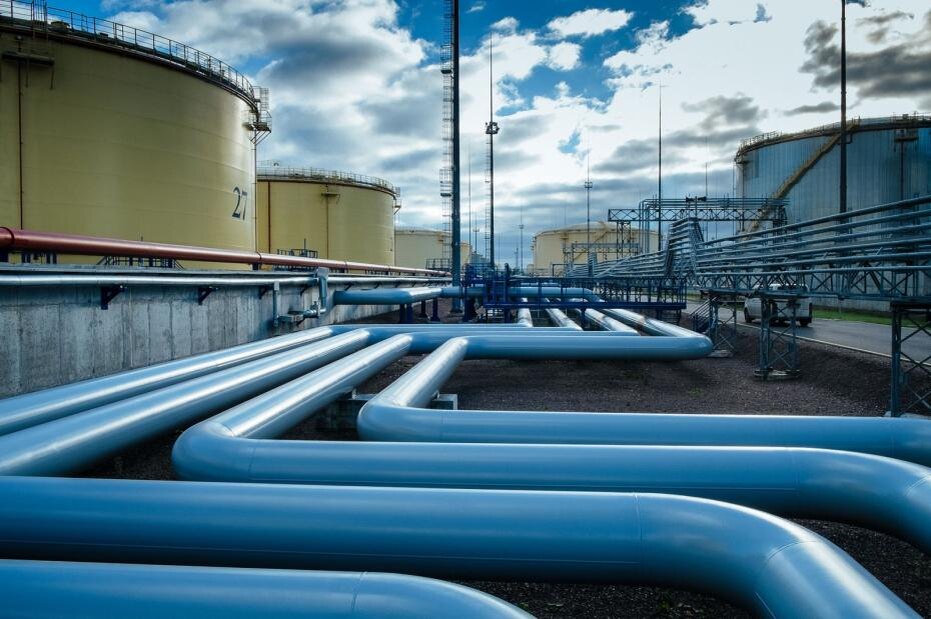    Мария Ионова-Гриб/РБК