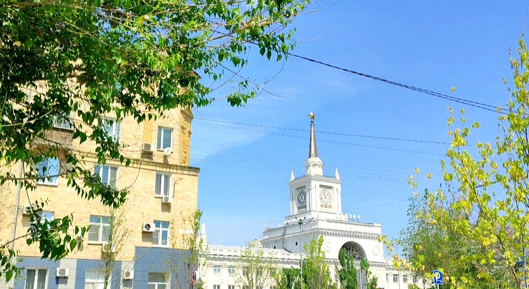 🌿🌸🌿🌸🌿🌸🌿