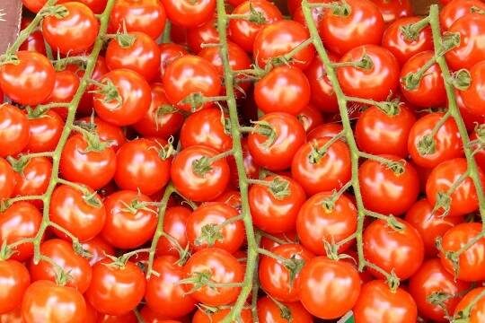    Россия купила у Китая томатов на 9 миллионов долларов