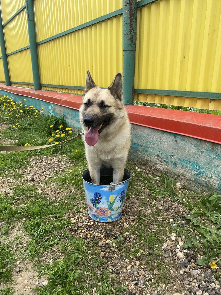 Пушистая нежность Люся