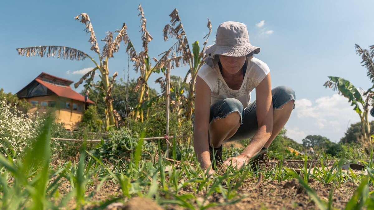 Болит спина после дачи? Проверьте: сколько из этих 10-ти ошибок делаете вы?