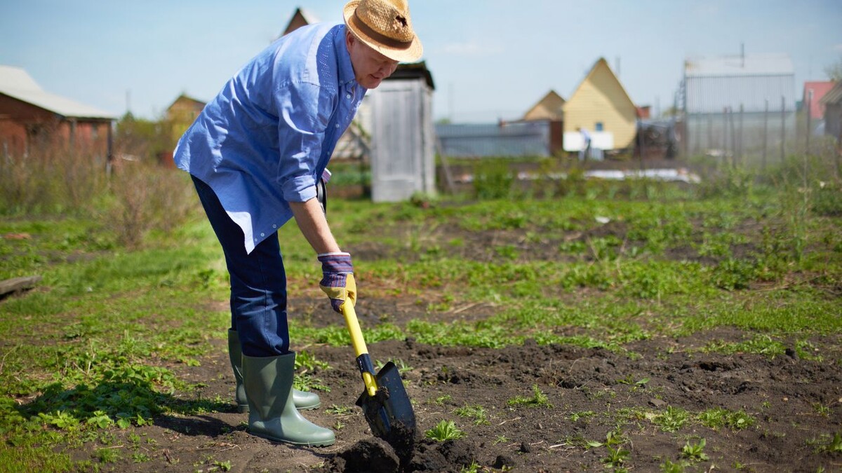 Болит спина после дачи? Проверьте: сколько из этих 10-ти ошибок делаете вы?