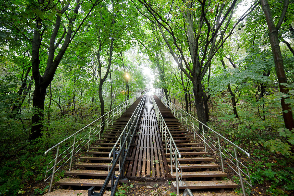 Битцевский лес