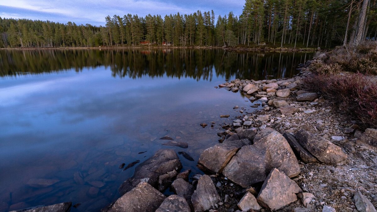    Фото: freepik.com