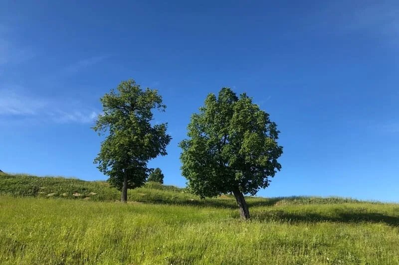 Фото: UfacityNews.ru