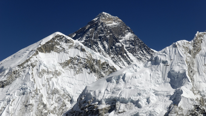    Фото: www.globallookpress.com/Egmont Strigl; 5-tv.ru