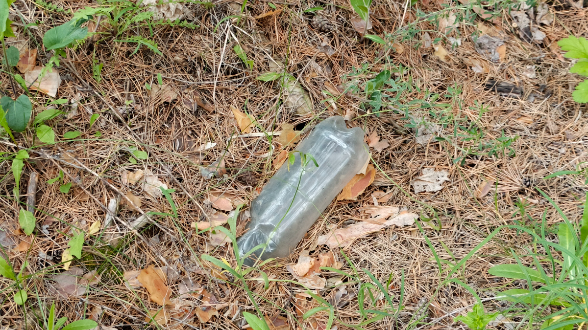 Фото во время моего очередного мусороуборочного рейда. Май 2025. 