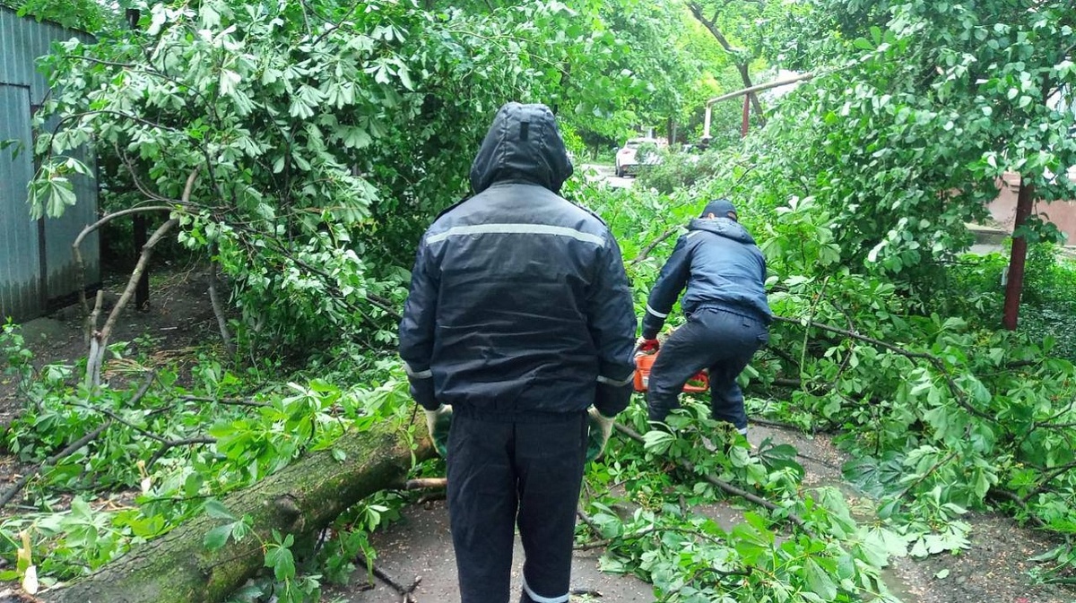     Фото: Пресс-служба администрации Краснодара