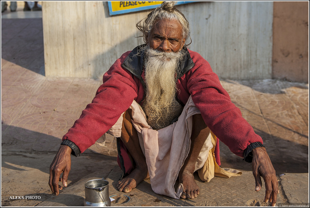 Индийский бродяга (из сети)