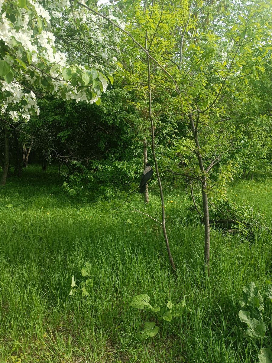 Фото из архива автора