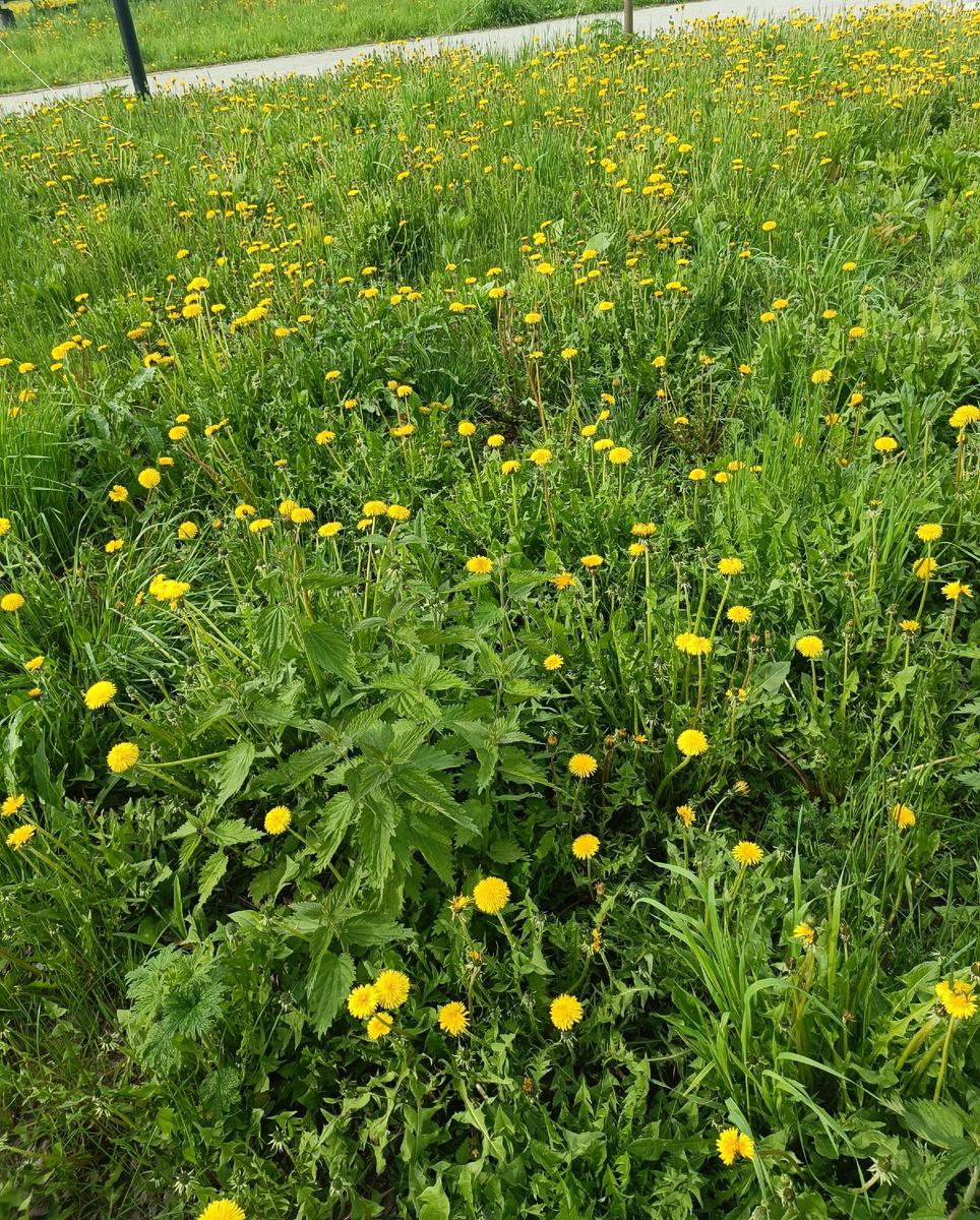 За крепкую дружбу