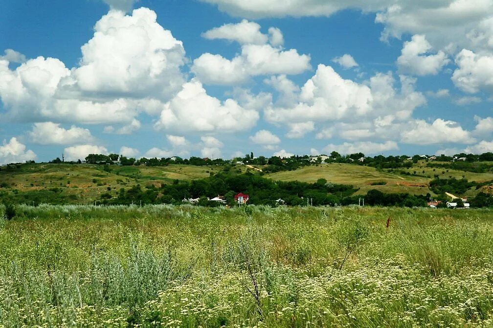 Донская степь. Фото в свободном доступе