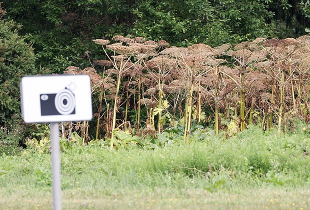    Фото: Petrov Sergey / Globallookpress.com