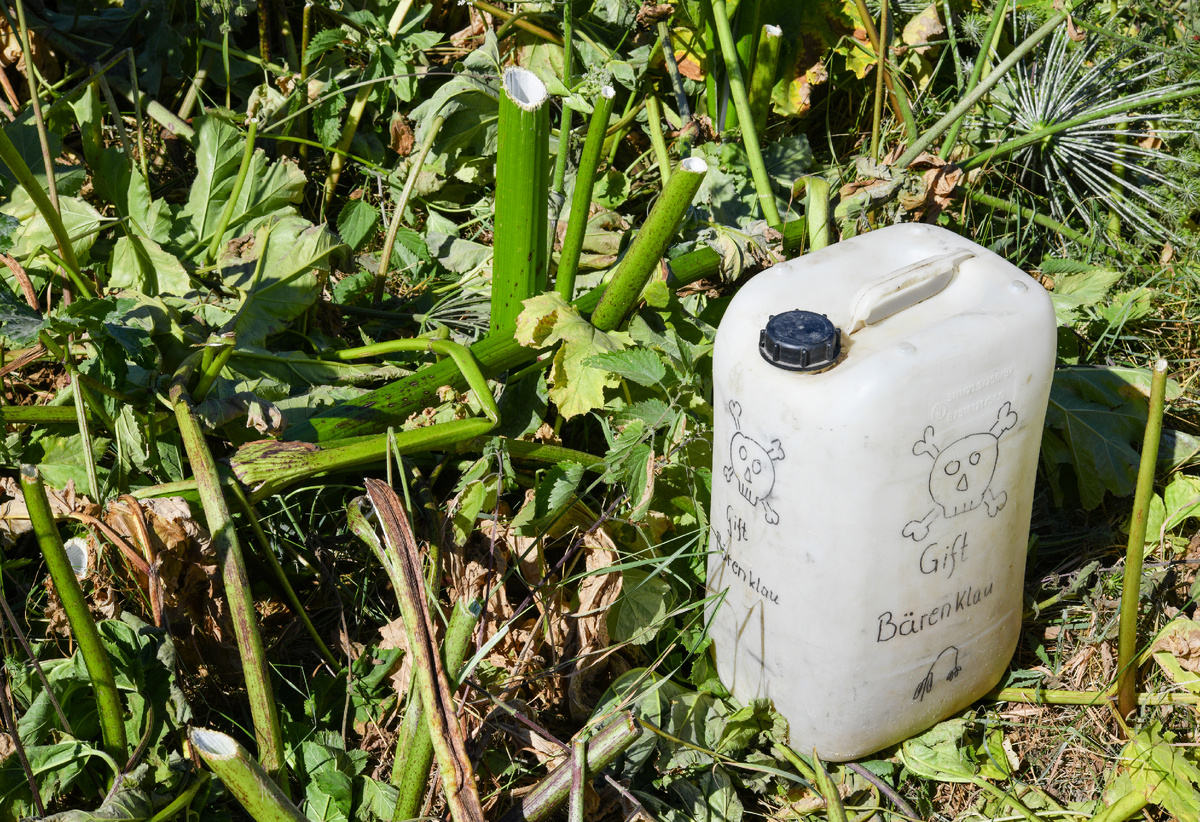 Фото: Globallookpress.com