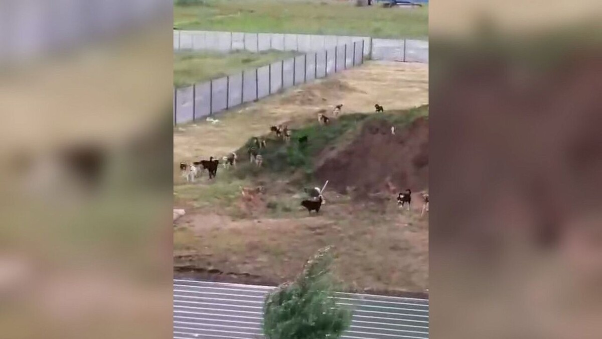    Фото: соцсети