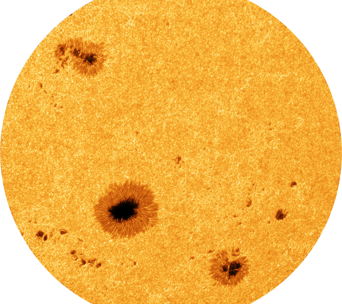 Фото: R. Kamlah et al. 2025  📷
