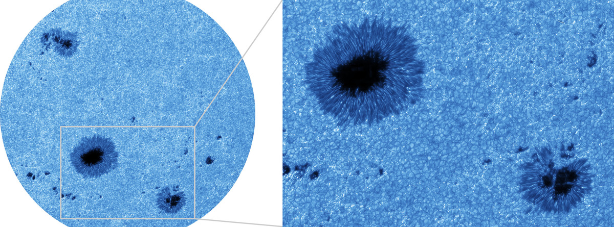 Фото: R. Kamlah et al. 2025  📷
