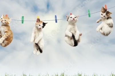 Картинка с интернета.