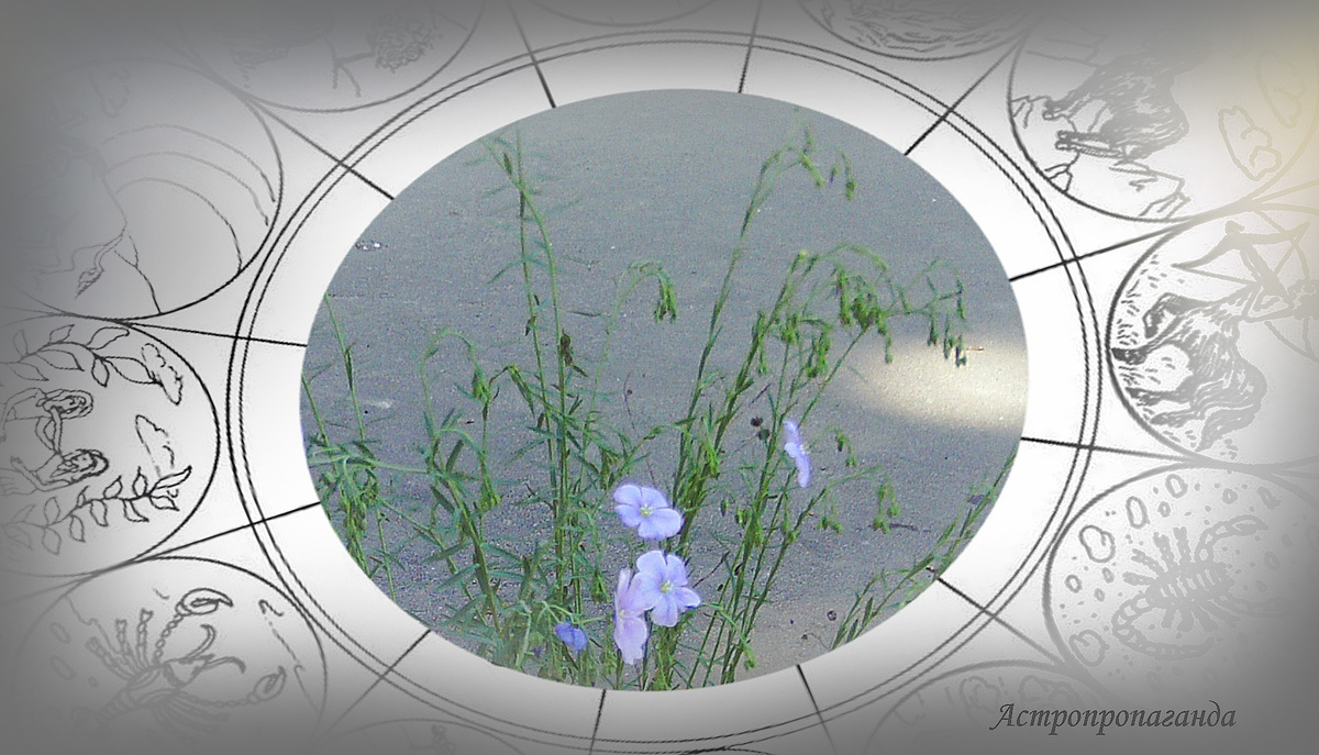 Гороскоп с 19 по 25 мая 2025: как будто всё спокойно, но возможны неожиданности | Недельный гороскоп