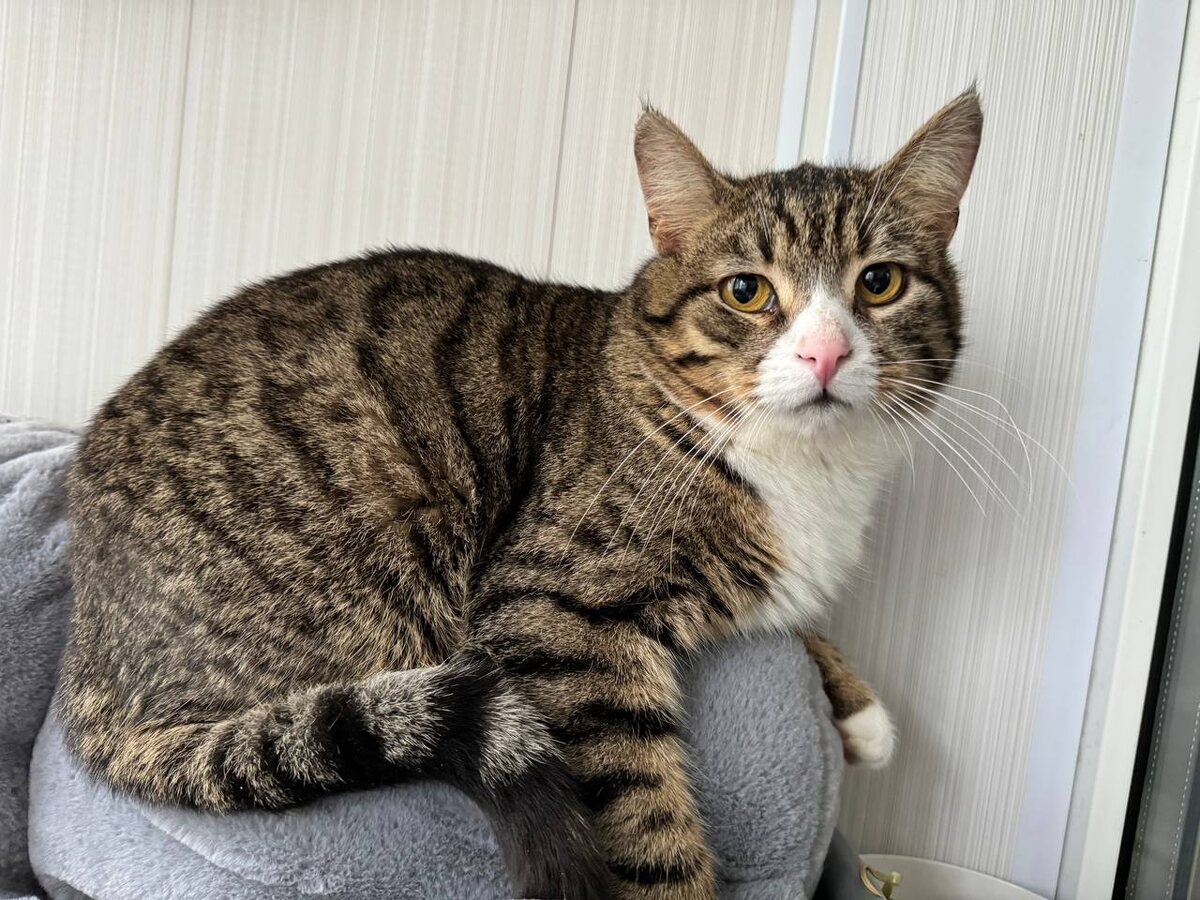 Ну вот да, я такой...