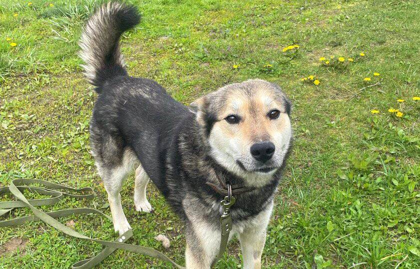 ❗ДОМА❗Выбросили из машины на полном ходу. 🆘 ПОСТ-ШАНС! 🆘