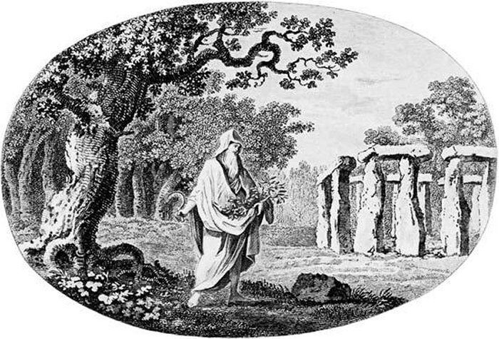 Друид собирает омелу. Гравюра. Изображение из свободных источников