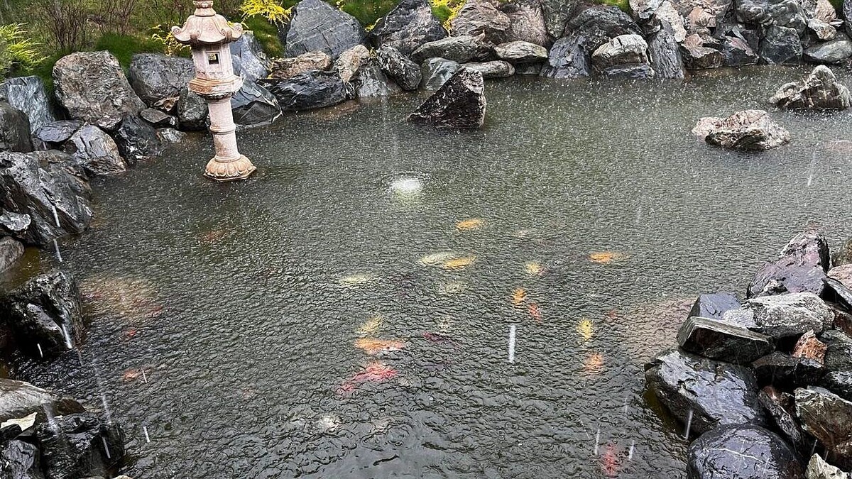    Фото: телеканал «Краснодар»