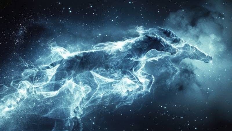 Фото: @freepik / freepik.com