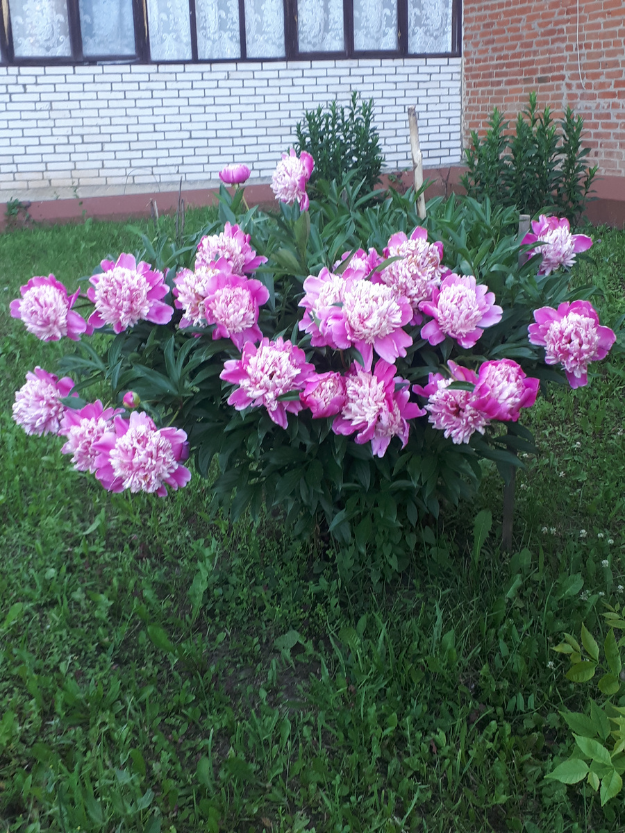 Какая же красота ! .