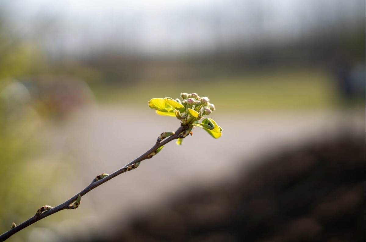 Фото с простор интернета 
