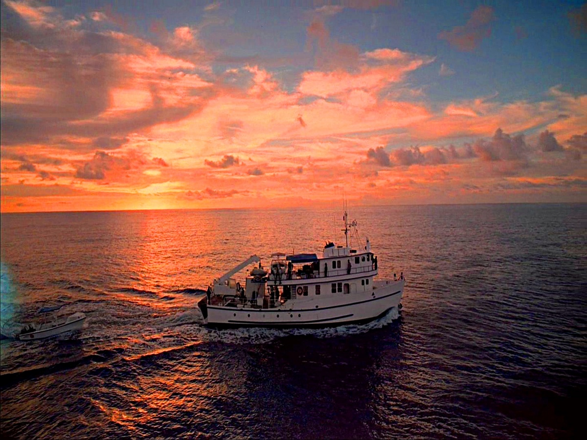 Фото из интернета.