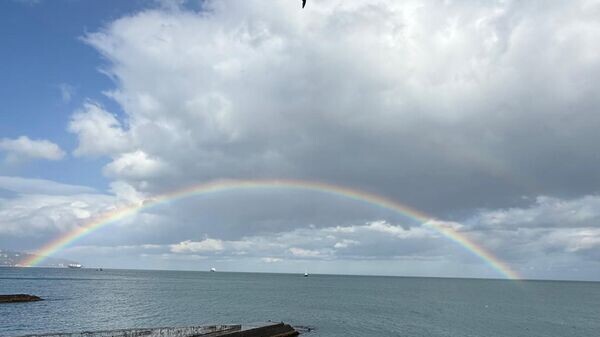    © Telegram-канал главы администрации Ялты Янины Павленко