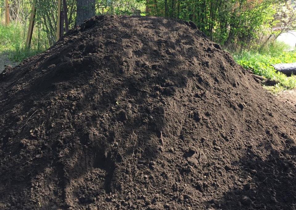 Фото: pesok-kirovsk.ru