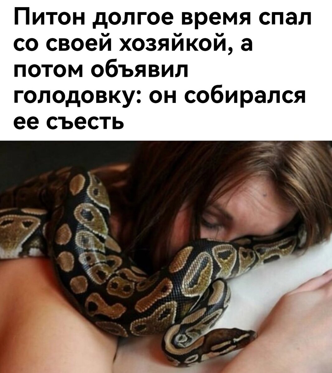 О змеях, следящих за своей фигурой, слышу впервые ;) 