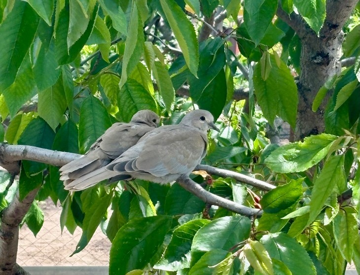    Народные приметы Редакция Газеты