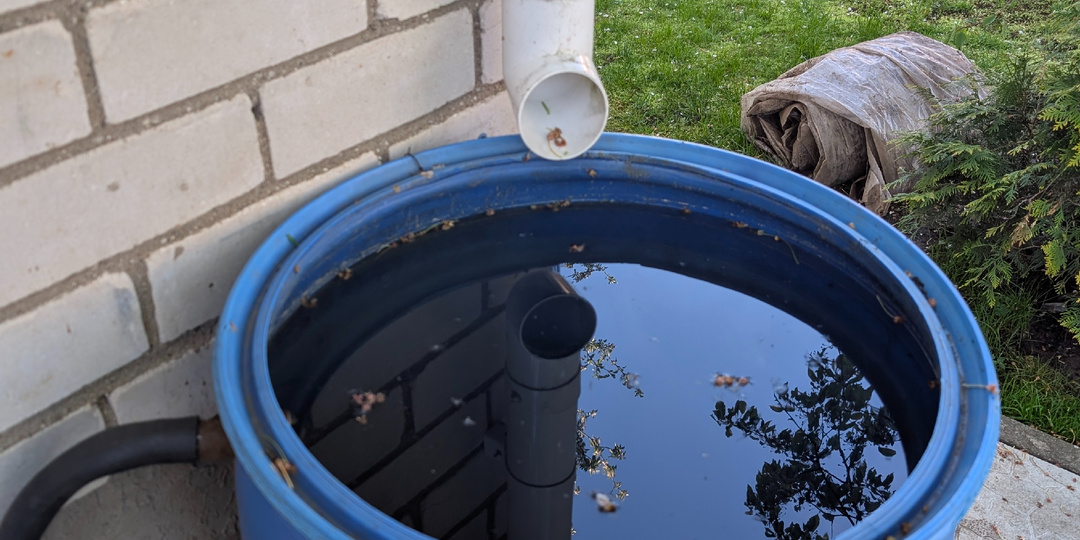Стоит ли собирать дождевую воду? Рассказываю, как у меня это работает