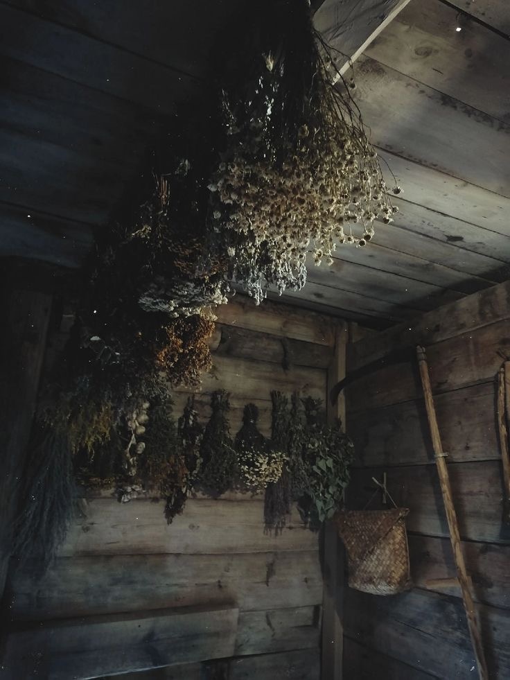 Изображение взято из открытых источников.