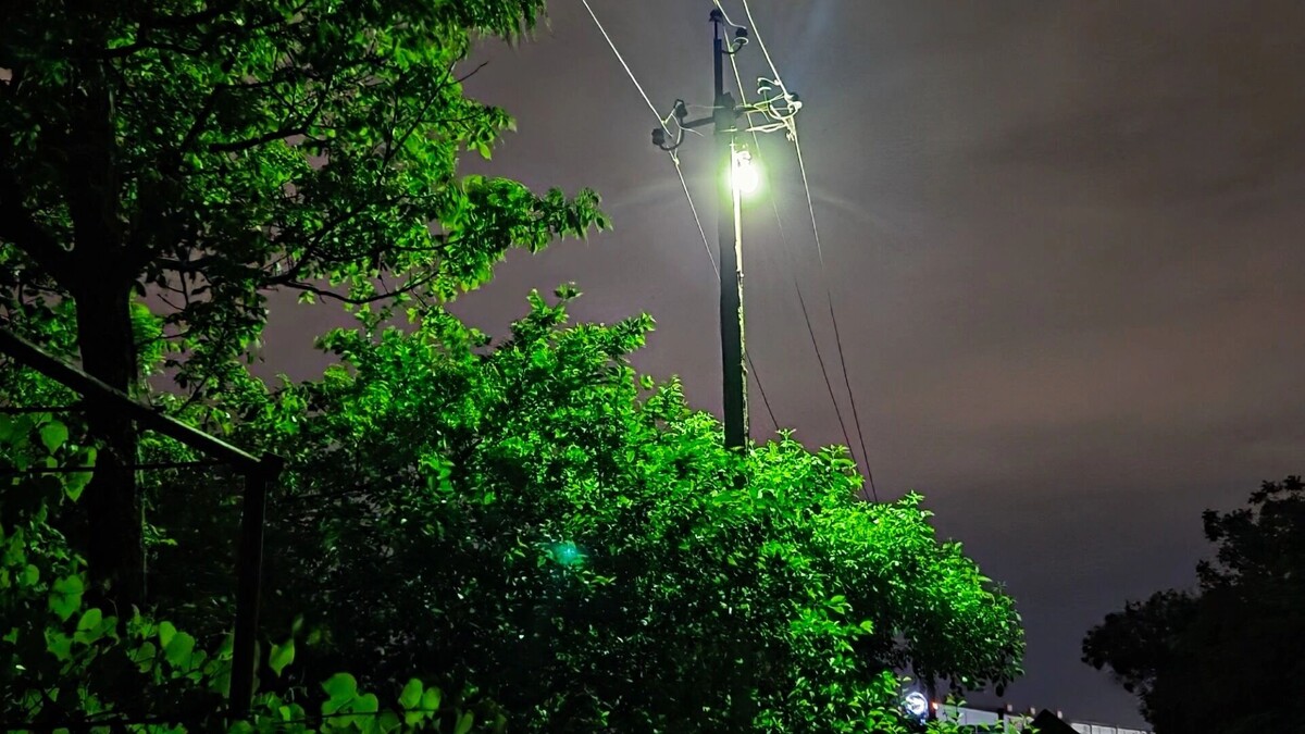     Автор: KubanPress