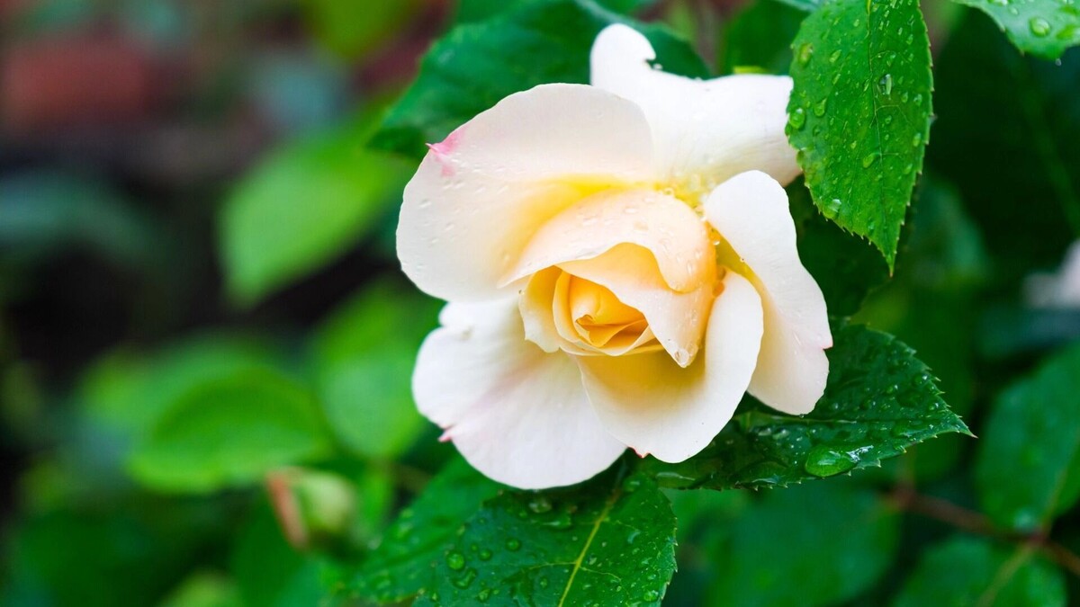     Источник: freepik.com